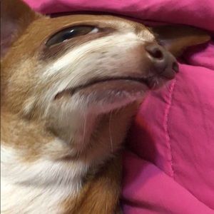 Meet your Posher, Jade